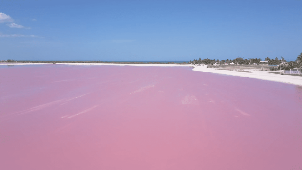 Las Coloradas, las lagunas rosas de Yucatán