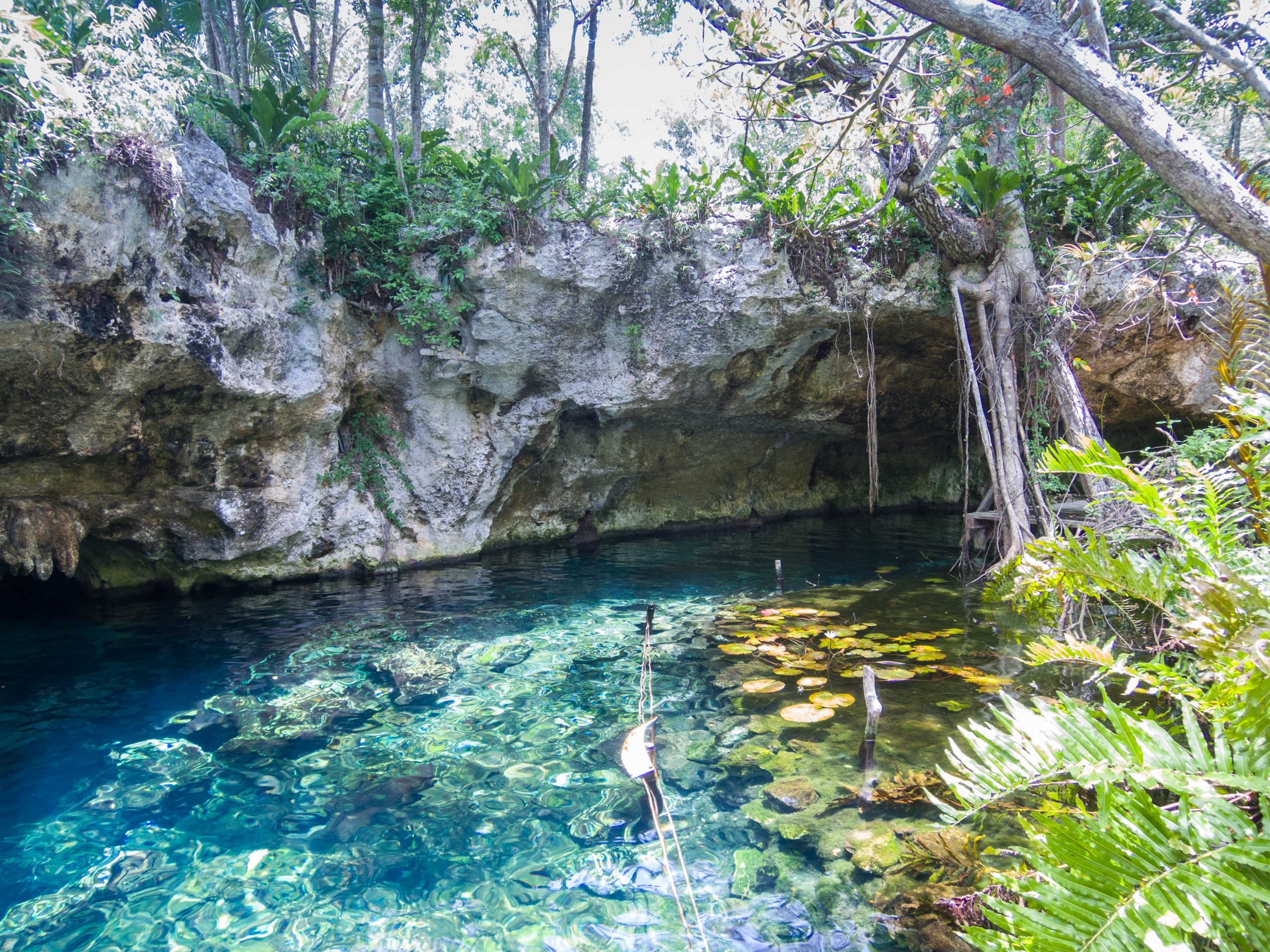 Gran Cenote near Tulum, Quintana Roo