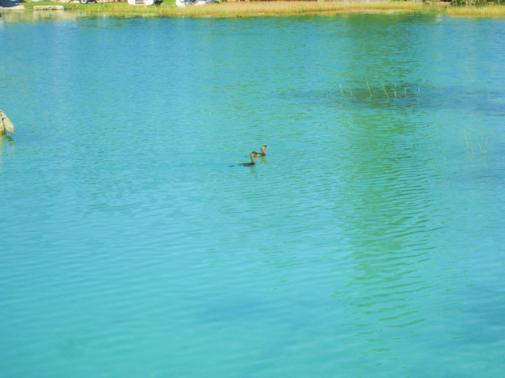 Laguna de Bacalar, the Lagoon of Seven Colors, Quintana Roo