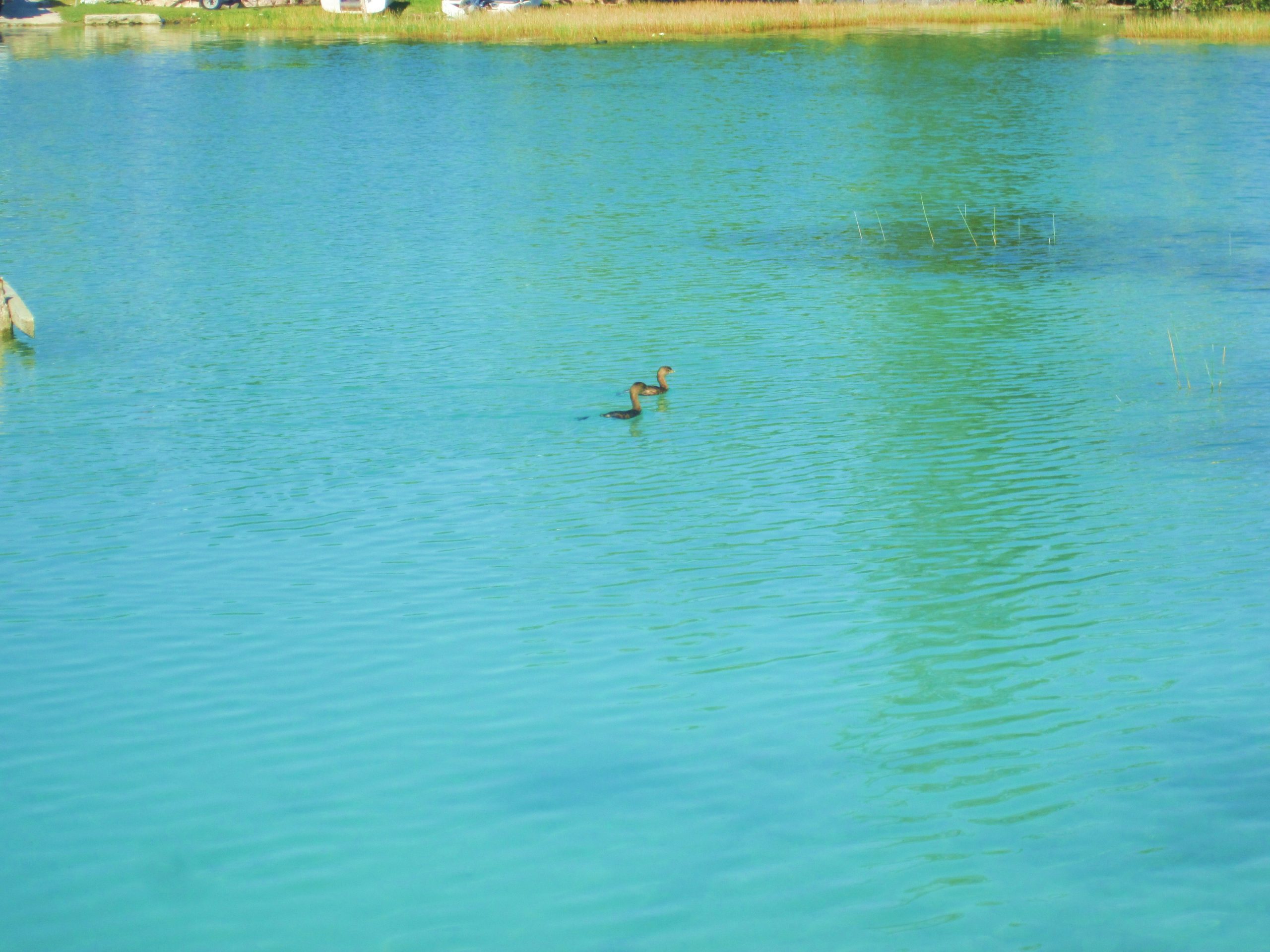 Laguna de Bacalar, the Lagoon of Seven Colors, Quintana Roo
