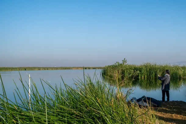 Agua y vegetación en los humedales recuperados de Texcoco
